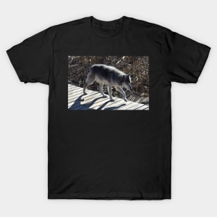 Wolf T-Shirt